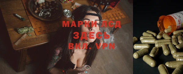 бошки Вязьма