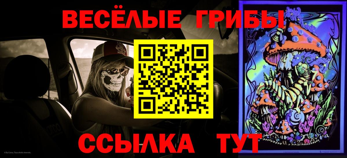 Мценск  Псилоцибиновые грибы GOLDEN TEACHER  Псилоцибиновые грибы ЛСД  Вход с VPN 